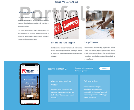 Professional Website Design and Hosting for your Business/organization